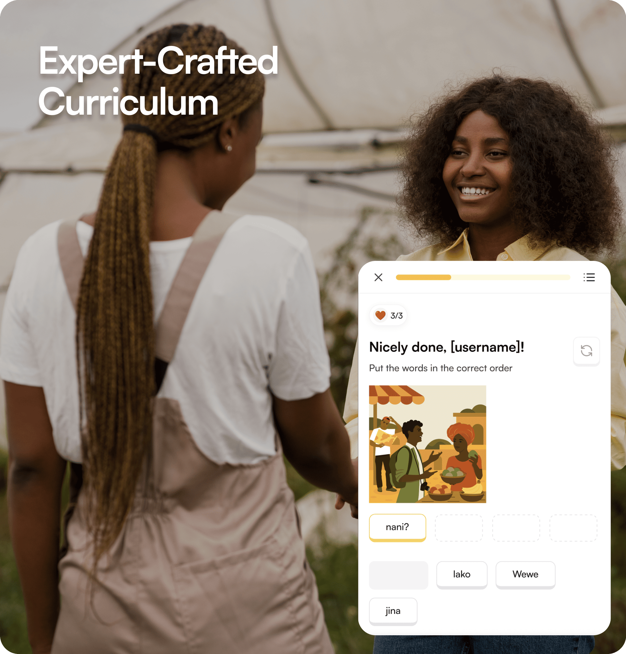 Expert-Crafted Curriculum